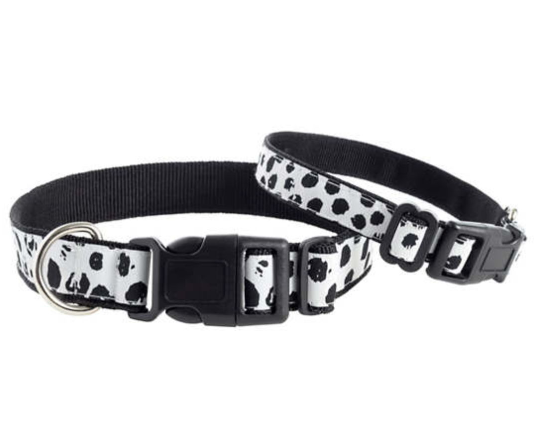 Dalmatian Collar